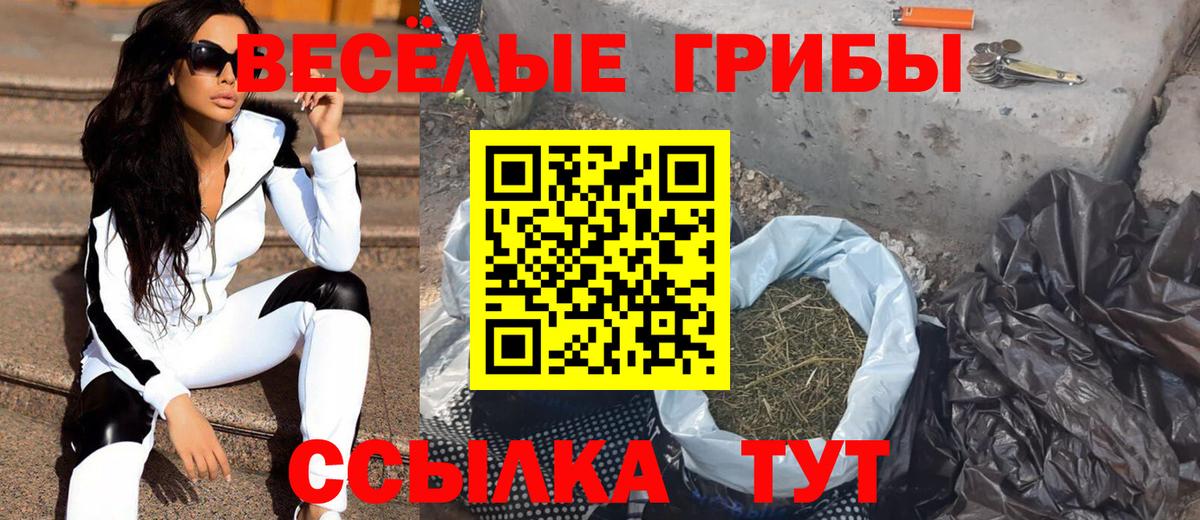 Галлюциногенные грибы прущие грибы Фрязино
